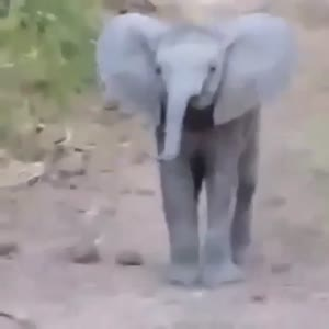 国外搞笑49