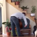 国外搞笑61