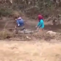 国外搞笑85