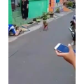国外搞笑104