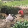 国外搞笑105