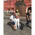 国外搞笑129