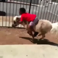 国外搞笑163