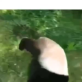 国外搞笑186