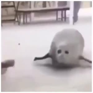国外搞笑194