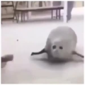 国外搞笑194