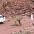国外搞笑205