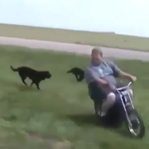 国外搞笑212