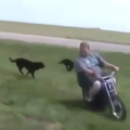 国外搞笑212