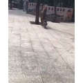 国外搞笑218