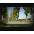 国外搞笑228