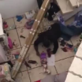 国外搞笑249