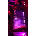 DJ打碟现场版17
