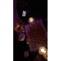 KTV夜总会9