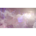 酒吧蹦迪119