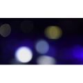 酒吧蹦迪214