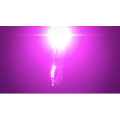 酒吧蹦迪241