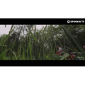 酒吧蹦迪343