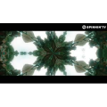 酒吧蹦迪409