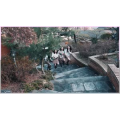 韩国舞蹈2