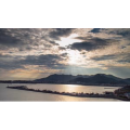 爆款天空7