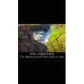 伤感励志37