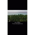 伤感励志63