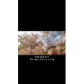 伤感励志97