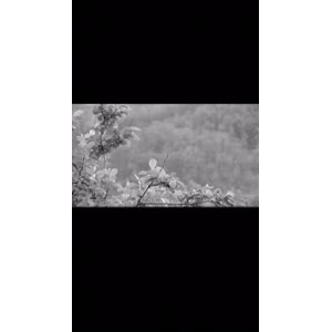 伤感励志127