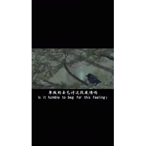伤感励志201