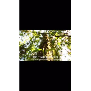 伤感励志241