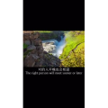 伤感励志259