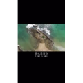 伤感励志265