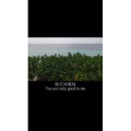 伤感励志293