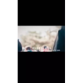 伤感励志303