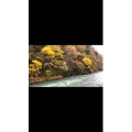 伤感励志533