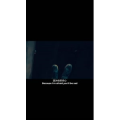 伤感励志605