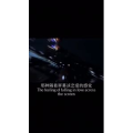 伤感励志639