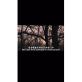 伤感励志653