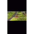 伤感励志685