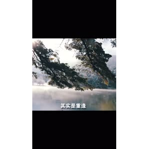 伤感励志733
