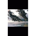 伤感励志733