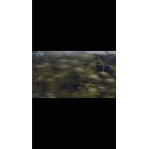 伤感励志899