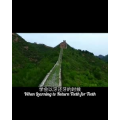 伤感励志941
