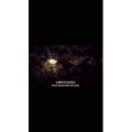 伤感励志1001