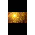 伤感励志1011