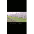 伤感励志1059
