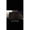 伤感励志1063