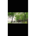 伤感励志1097