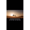 伤感励志1131